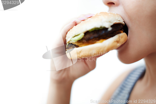 Image of Hamburger