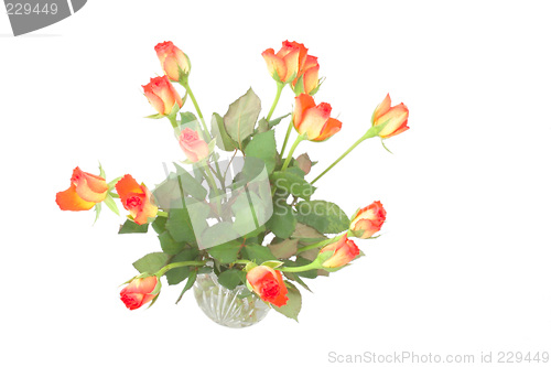 Image of roses in a vase