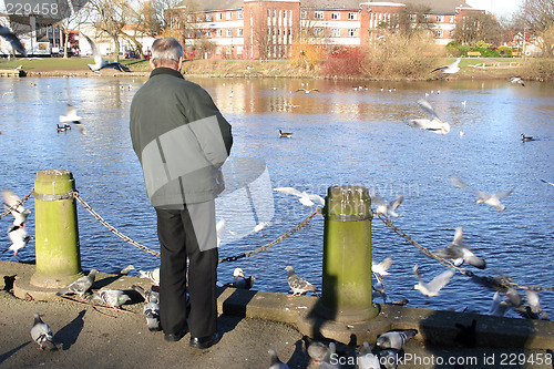 Image of feeding the birds