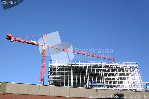 Image of crane