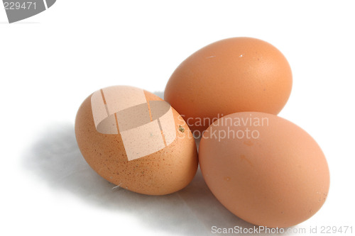 Image of three hens eggs