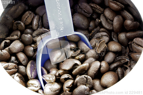 Image of coffee beans in a can