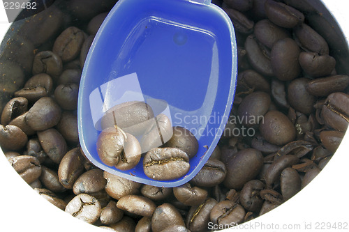 Image of coffee beans in a can