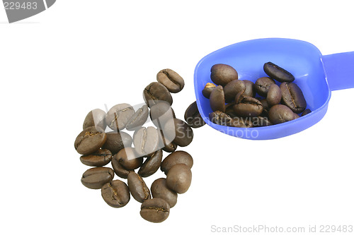 Image of coffee beans