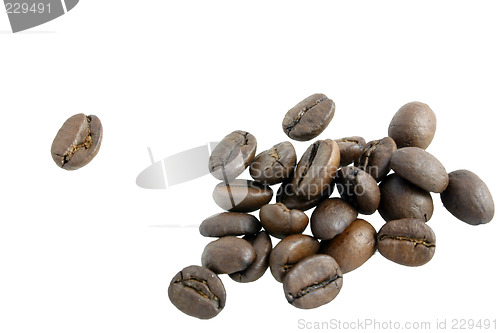 Image of coffee beans