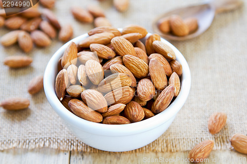 Image of Almond