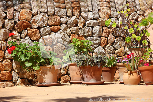 Image of Potted plants in front of a stone wall