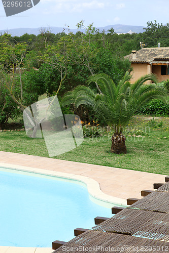 Image of Swimming pool and tropical garden