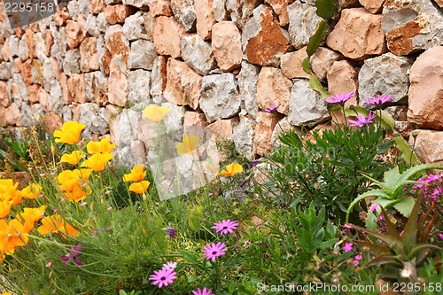 Image of Dry stone wall and flowers
