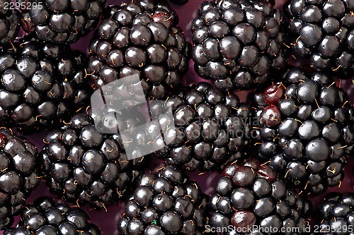 Image of blackberry background