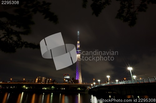 Image of Tokyo Skyline