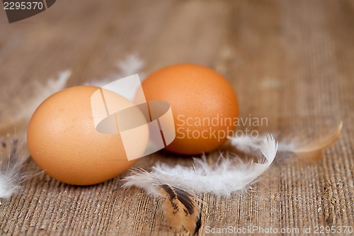 Image of two eggs and feathers