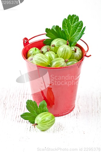 Image of green gooseberry in metal bucket 