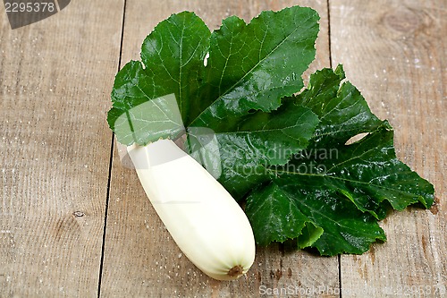 Image of fresh zucchini with green leaves