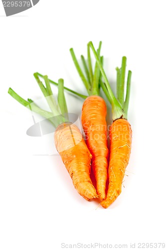 Image of carrot vegetable with leaves