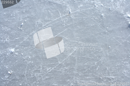 Image of Skate marks on the surface of an outdoor ice rink