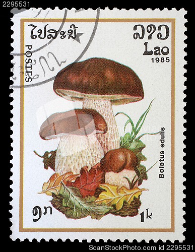 Image of Stamp printed in Laos shows mushroom