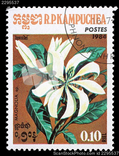 Image of Stamp printed in the Cambodia, depicts a flower Magnolia