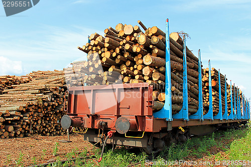 Image of Transporting Wood by Train