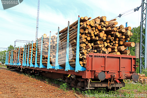 Image of Wood in Railcars