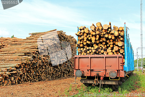 Image of Wood at Railway Station and Railcars