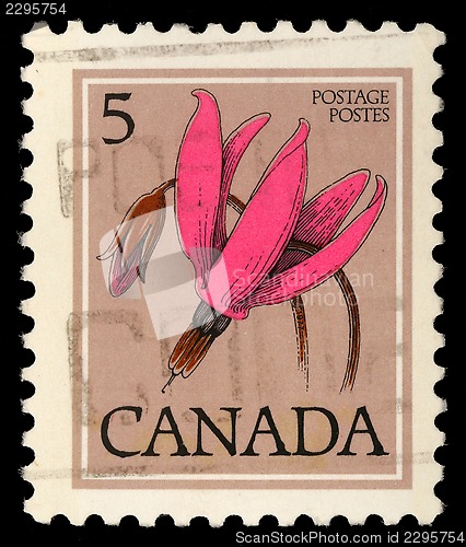 Image of Stamp printed in Canada shows Flower: Shooting star