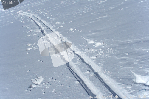 Image of Ski tracks in the snow