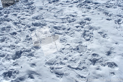 Image of Many footprints in the snow