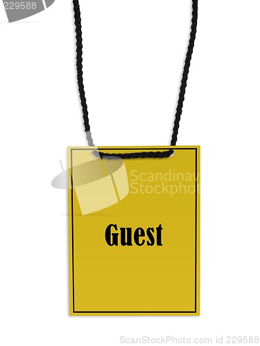 Image of Guest backstage pass