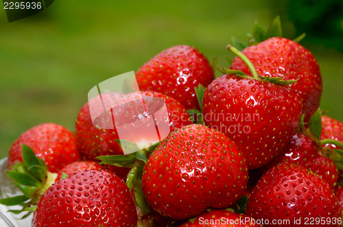 Image of Strawberries closeup