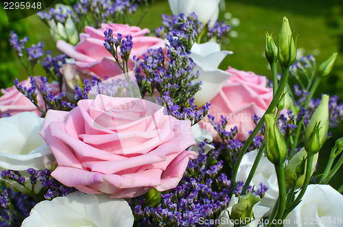 Image of Pink rose