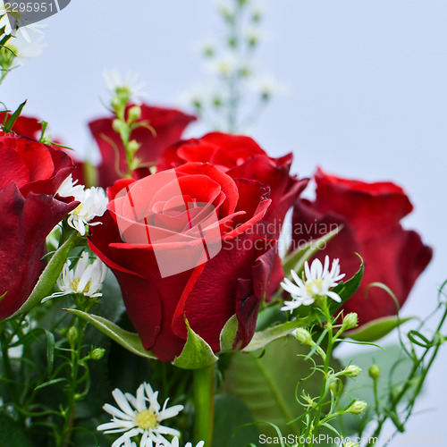 Image of Red roses