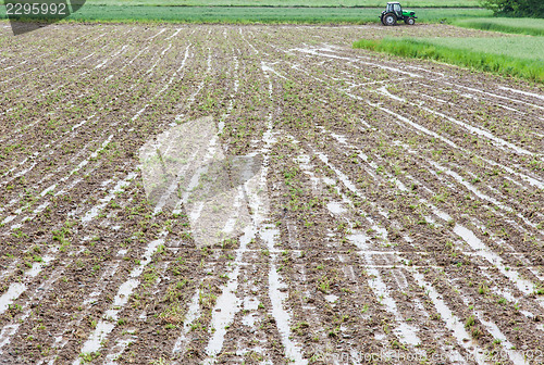 Image of Agriculture disaster