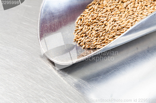 Image of Beer Malt