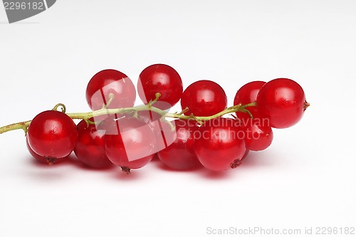 Image of Fresh ripe currant