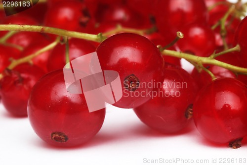 Image of Fresh ripe currant