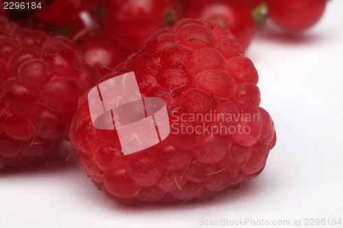 Image of Raspberry