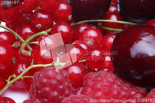 Image of Fresh berries