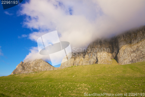 Image of Coastal cliffs