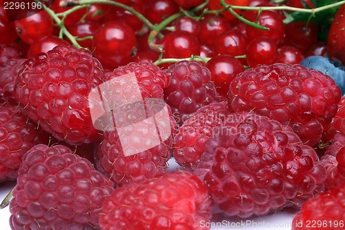 Image of Fresh berries