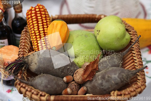 Image of Autumn Harvest