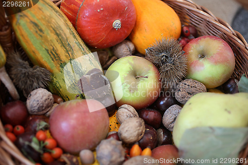 Image of Autumn Harvest