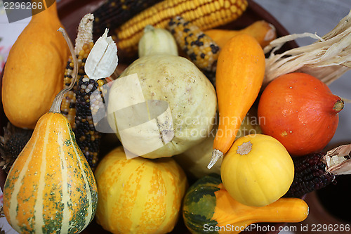 Image of Autumn Harvest