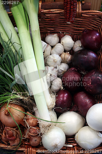 Image of Onions and garlic 