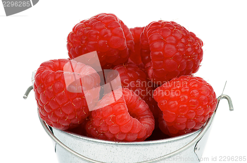 Image of Raspberries in Bucket