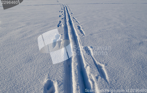Image of Ski marks left on frozen lake snow in winter 
