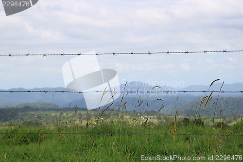 Image of Wired in the Tablelands