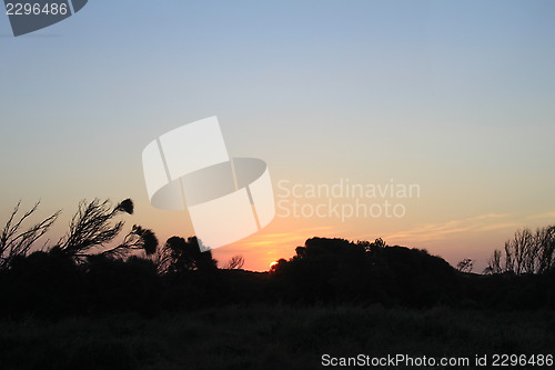 Image of Sunset in the bush