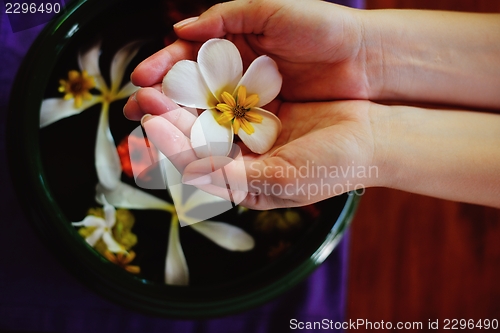 Image of female hand and flower in water