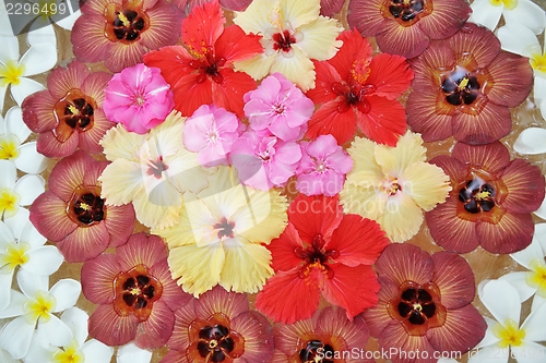 Image of water cup with beautiful flowers background